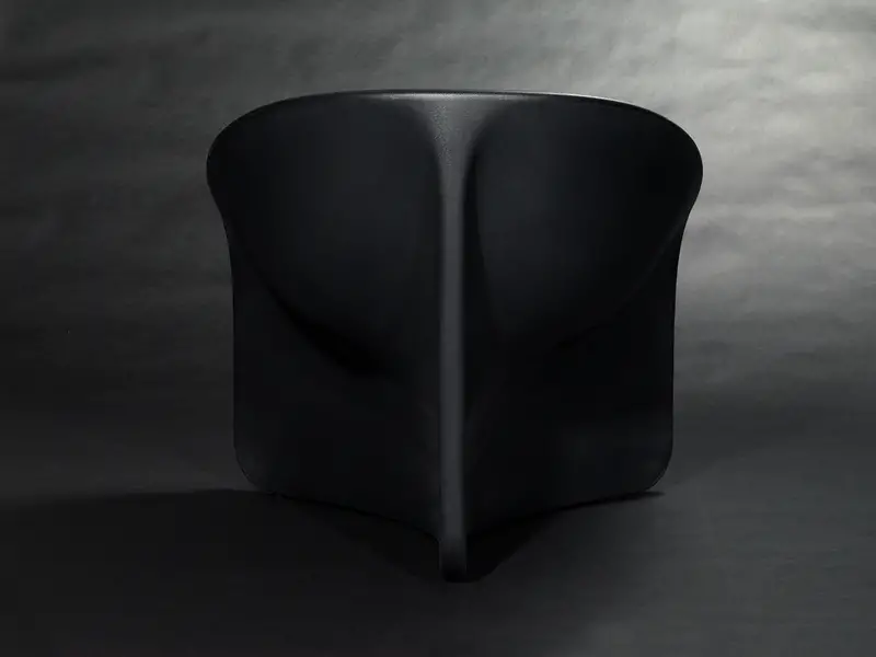 Bluff Black Back copy