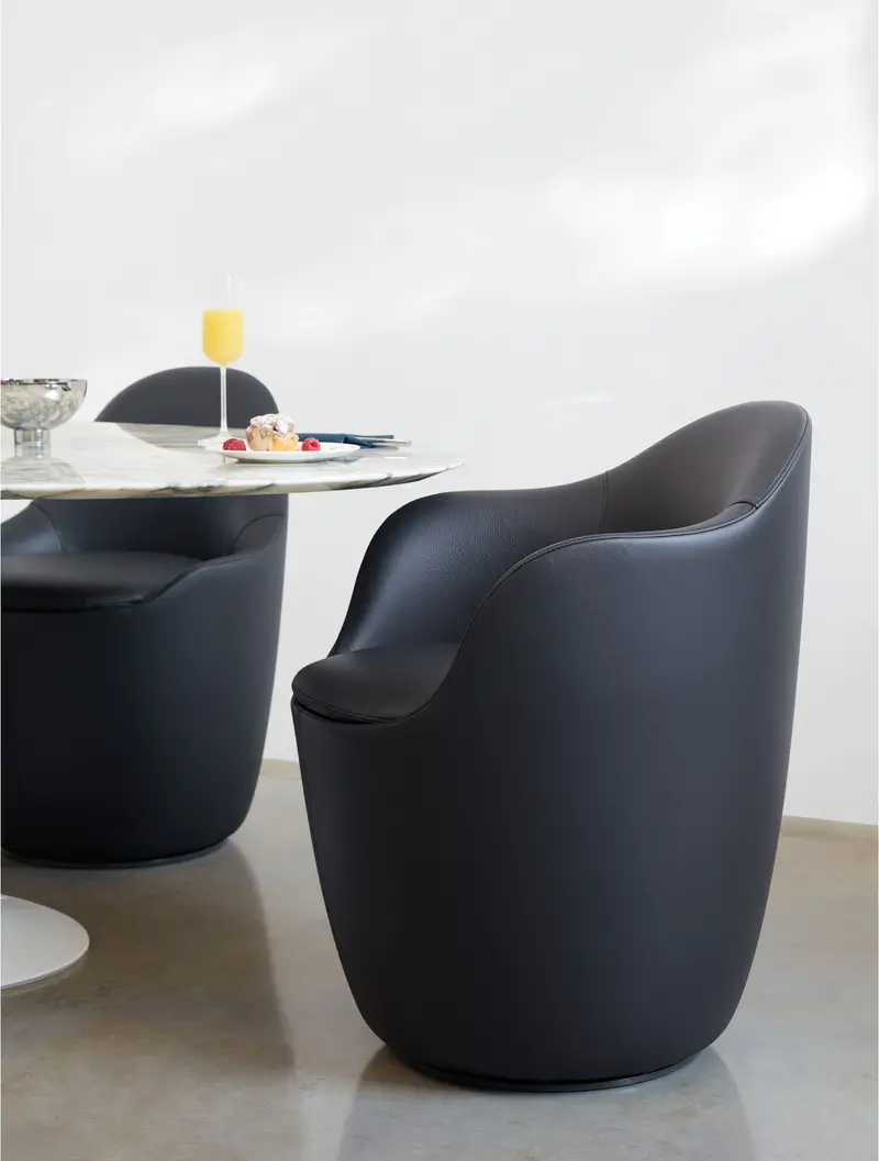 PD 2517046 ENV4