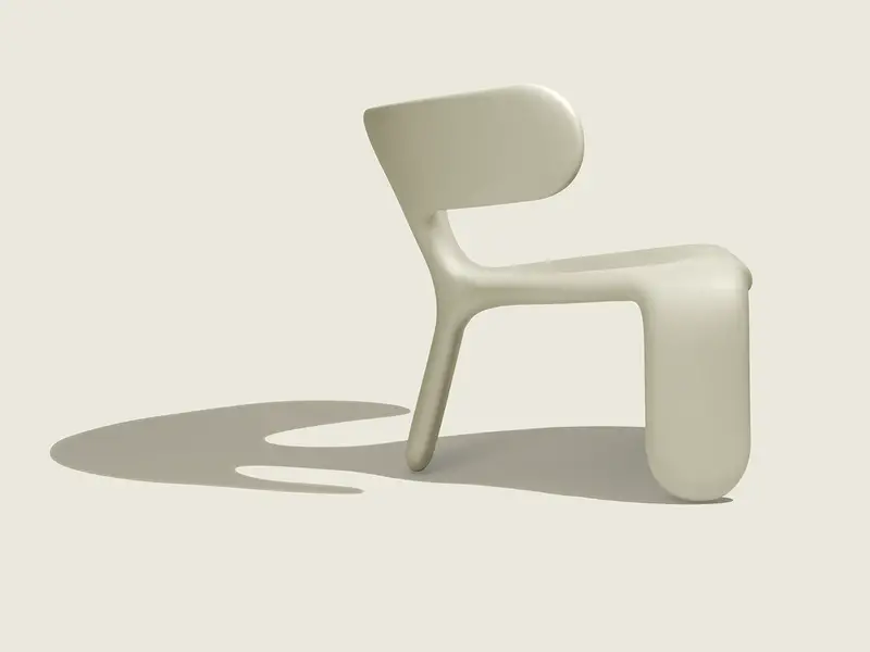 Side Cast Shadow Bone